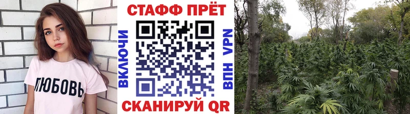Наркошоп купить Гашиш  АМФЕТАМИН  Альфа ПВП  Меф  COCAIN  Конопля  Городец