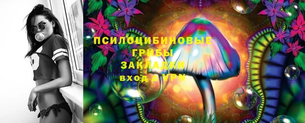 мдпв Верхний Тагил