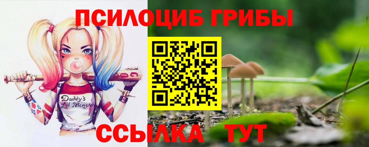 магазин продажи   Городец  Галлюциногенные грибы GOLDEN TEACHER 