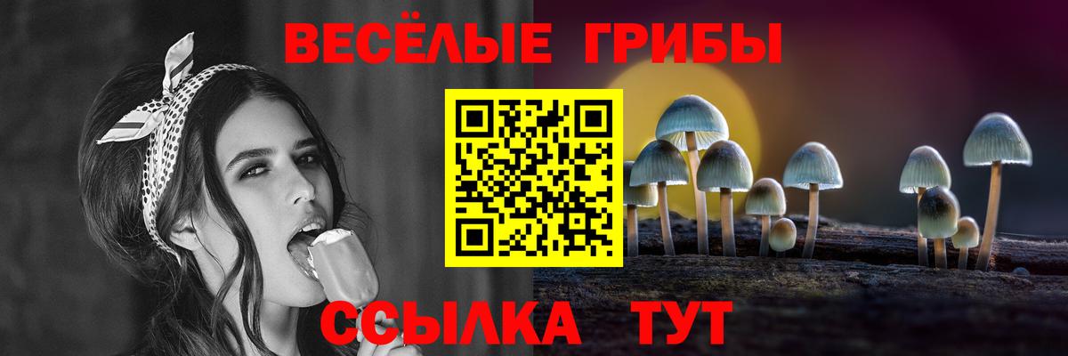 Галлюциногенные грибы Magic Shrooms Городец
