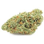 Шишки OG Kush  (Гидропоника, бошки) VHQ в Городце